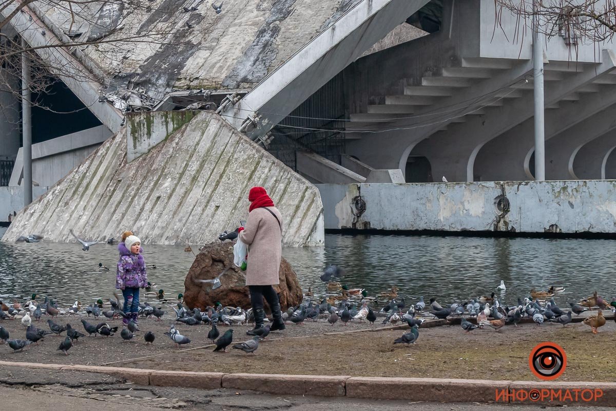 Уточки ушли в озеро Уточки ушли в озеро
