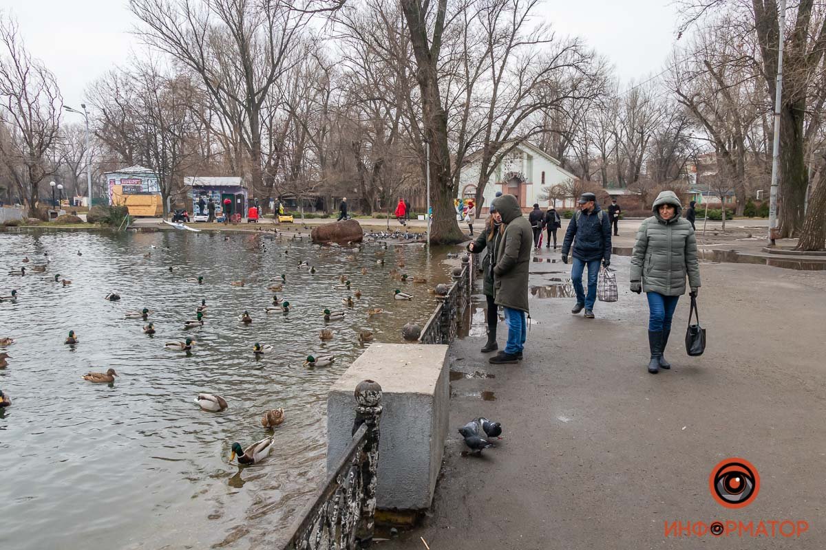 Все еще лужи Все еще лужи