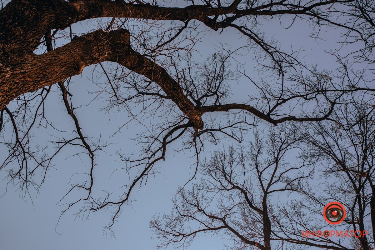 Осталось дождаться снега