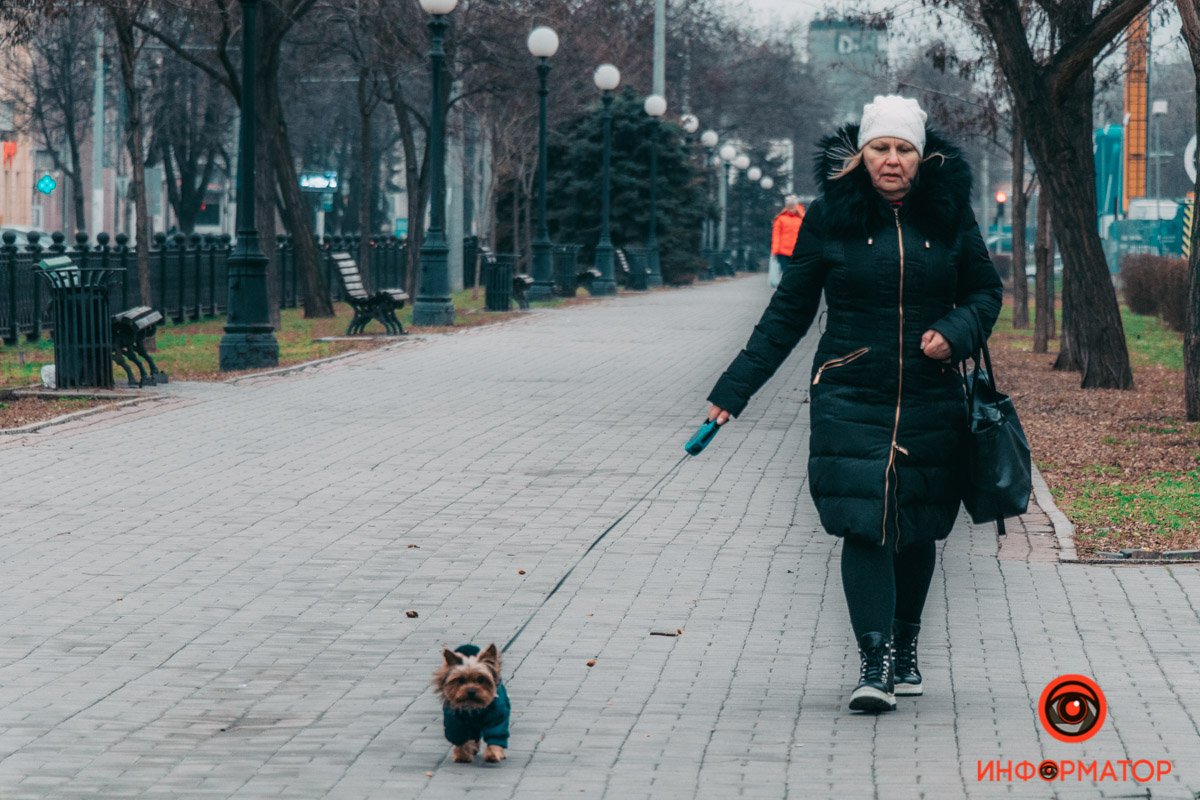 Кажется, даже песику было сложно вставать этим утром