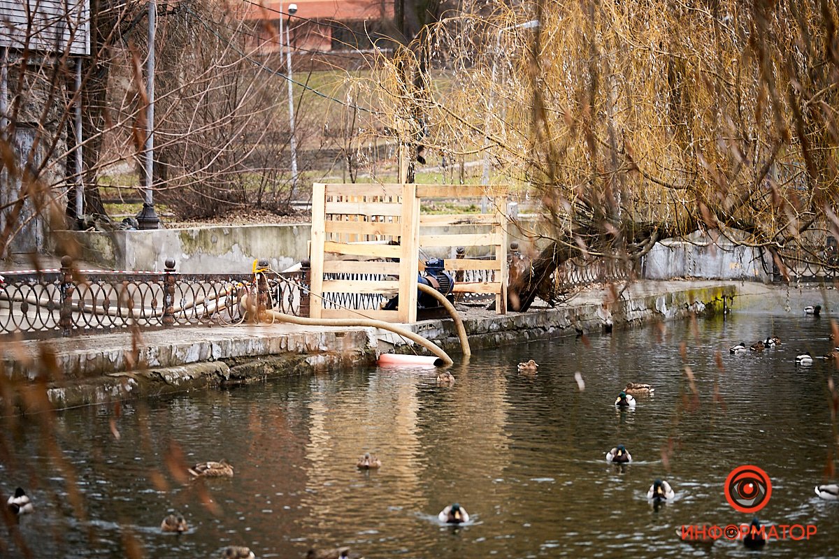 Утки в джакузи