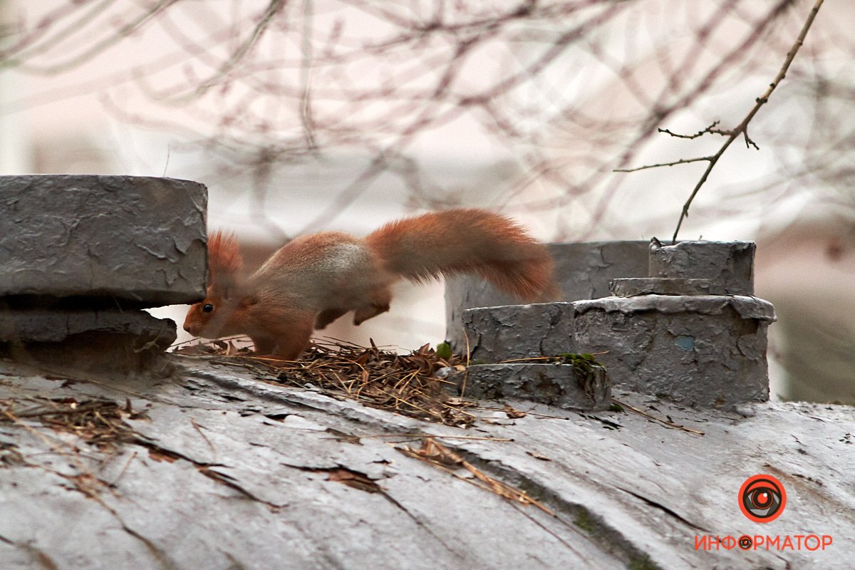 Спешит к тем, кто все еще празднует