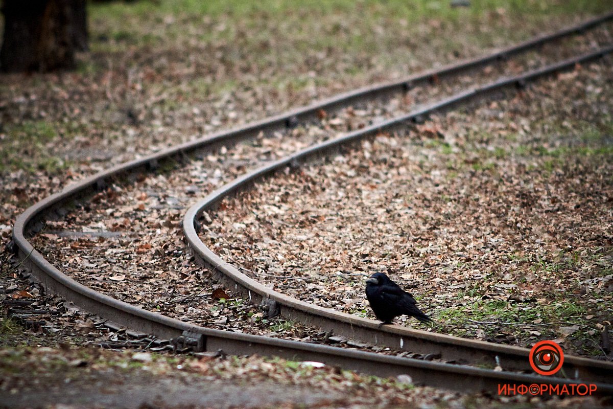 Ее график на сегодня — шестичасовая депрессия с уклоном в самобичевание