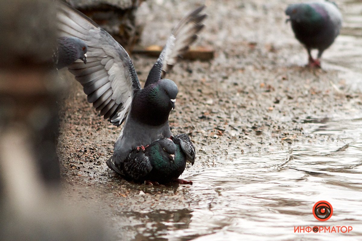 Мем: я и мои проблемы 