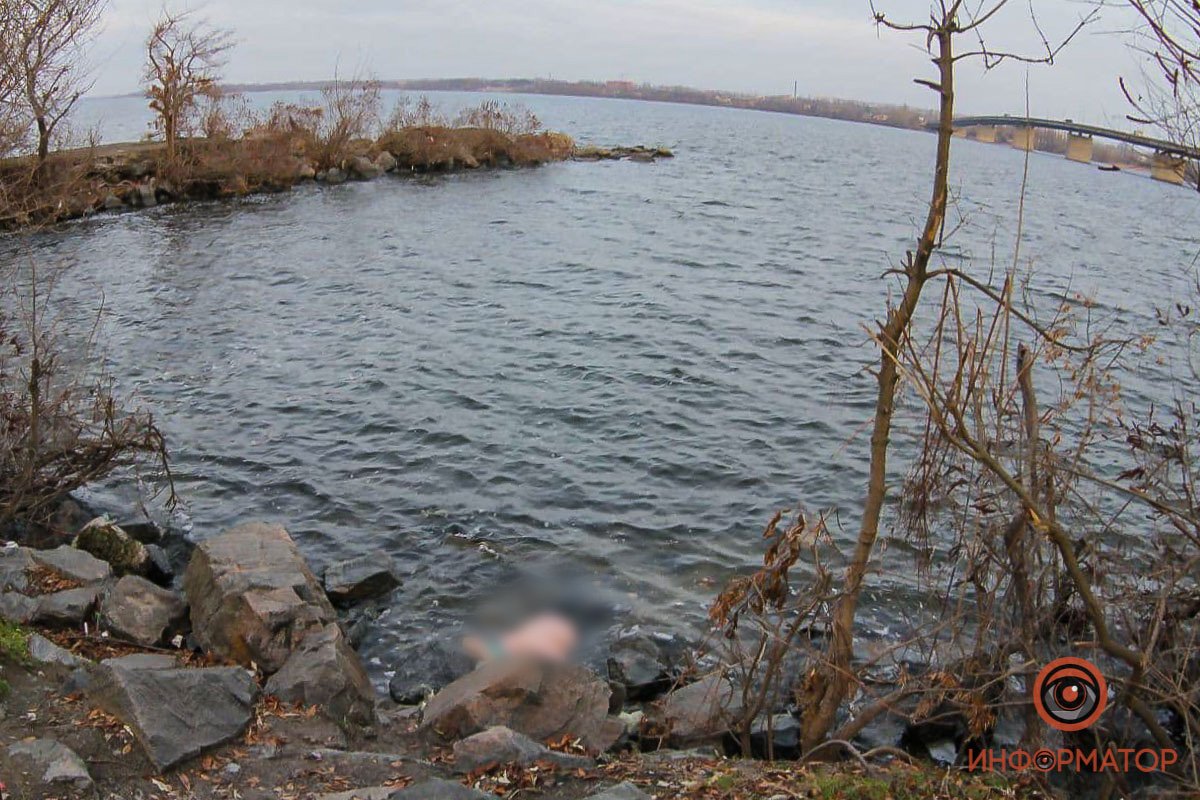 Возле Южного моста Возле Южного моста