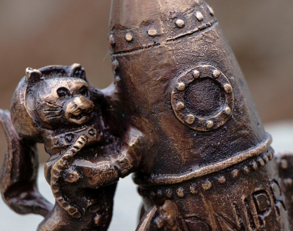 Куда же без котиков Куда же без котиков