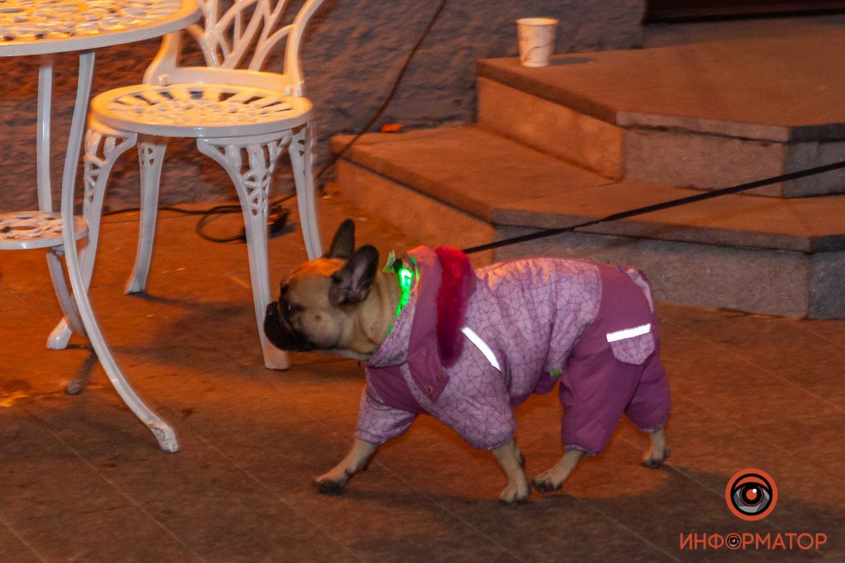 На прогулку в модной одежке На прогулку в модной одежке