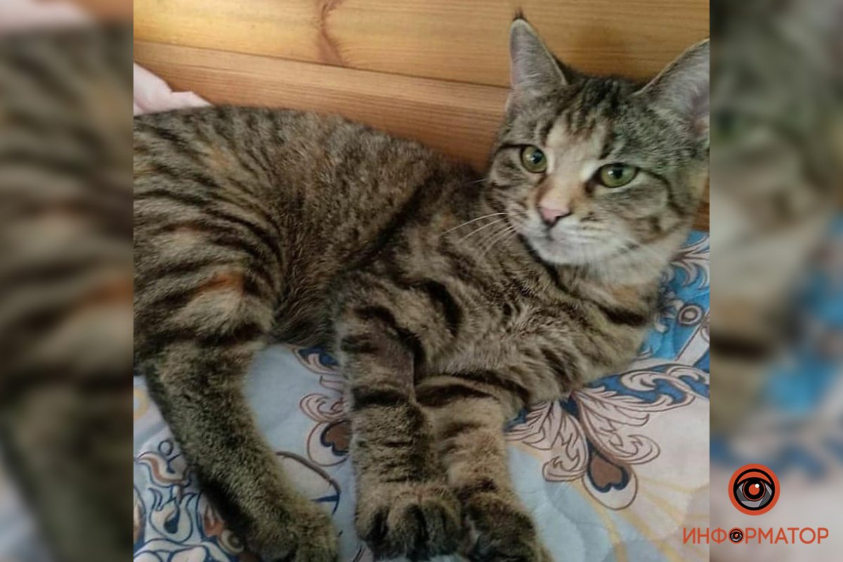 Маше нужна семья