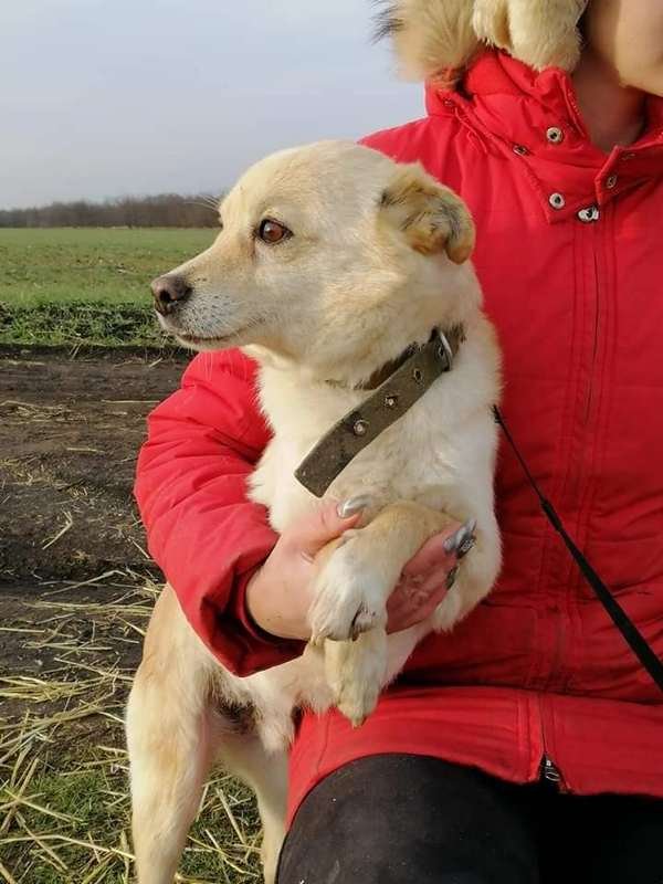 Дружок Димка