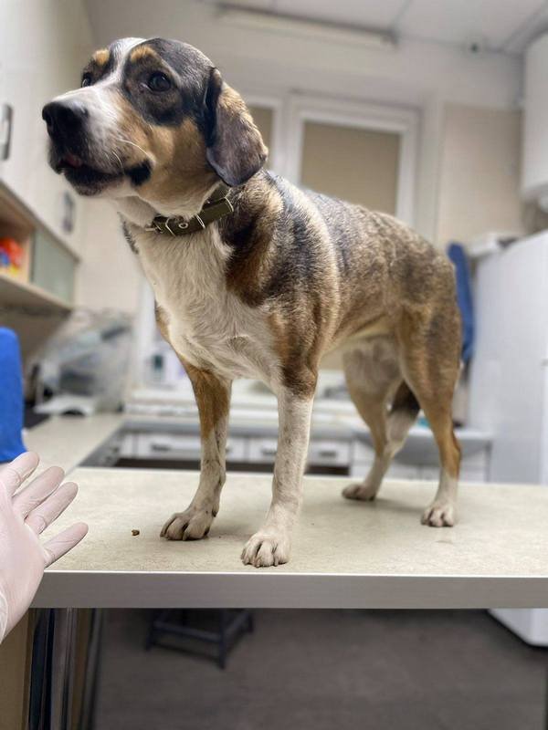 Понимает все с полуслова