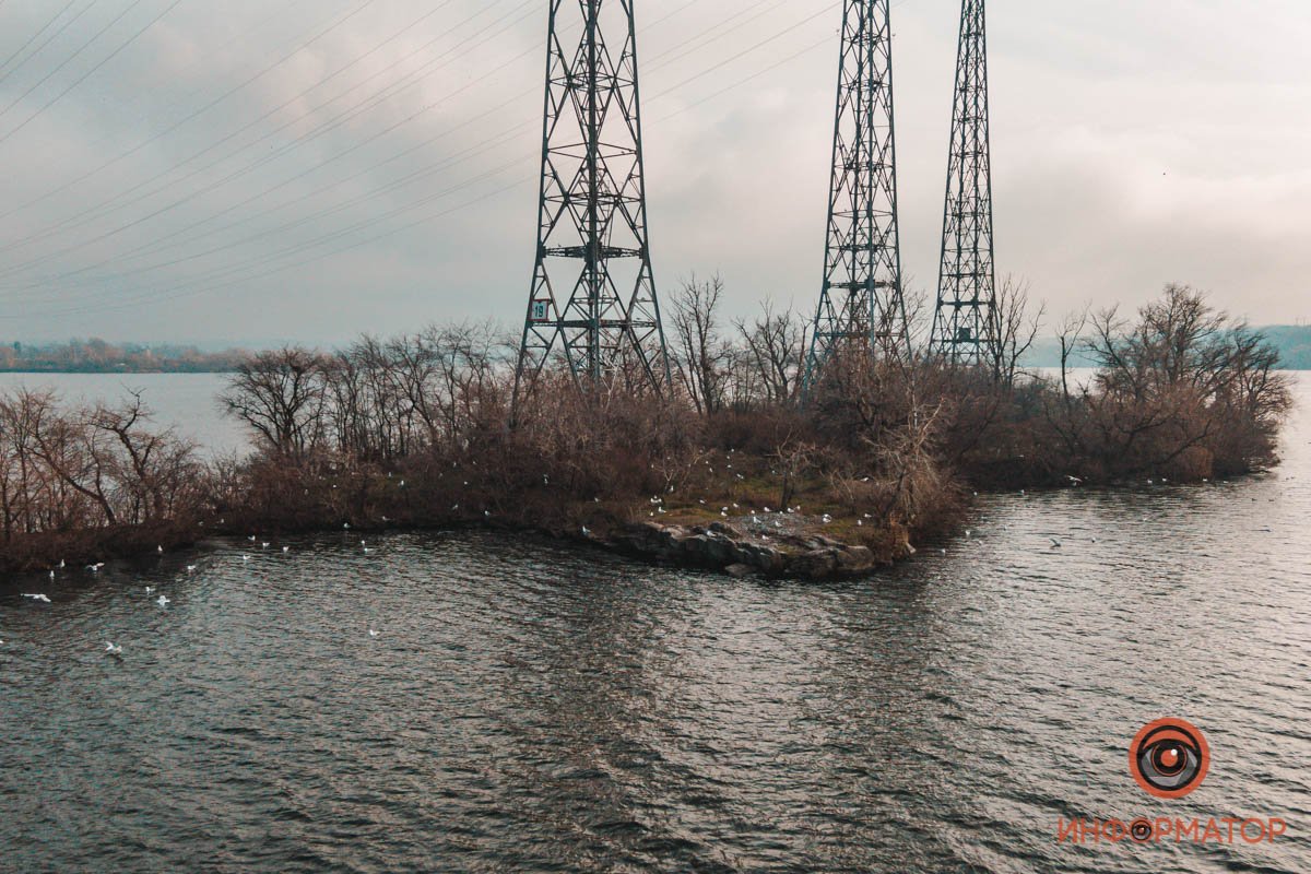 Остров стал домиком для чаек