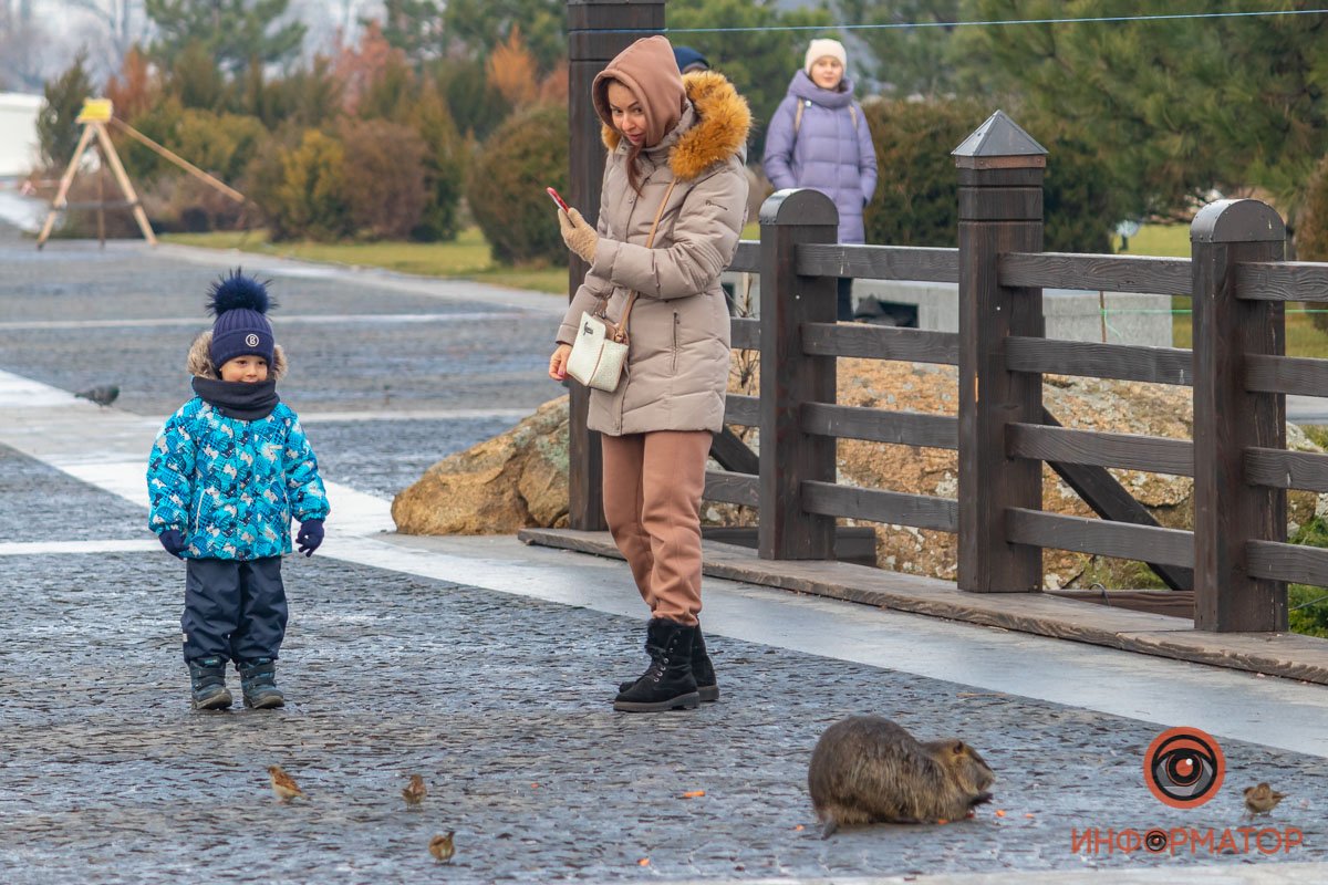 Селебрити этого комплекса Селебрити этого комплекса