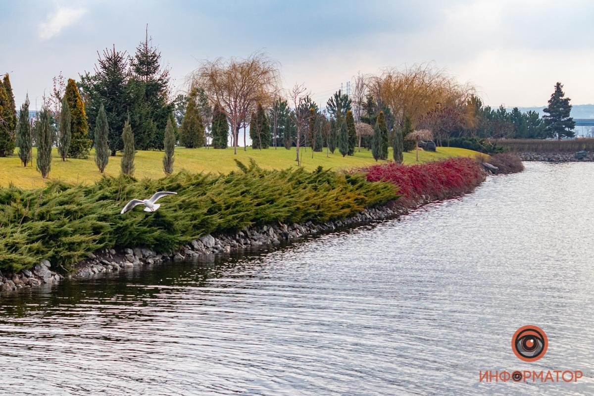 А виды завораживают А виды завораживают