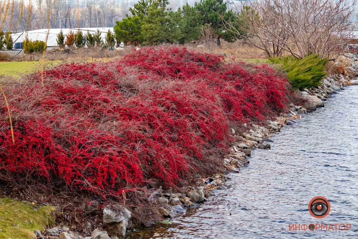 Сейчас точно январь? Сейчас точно январь?