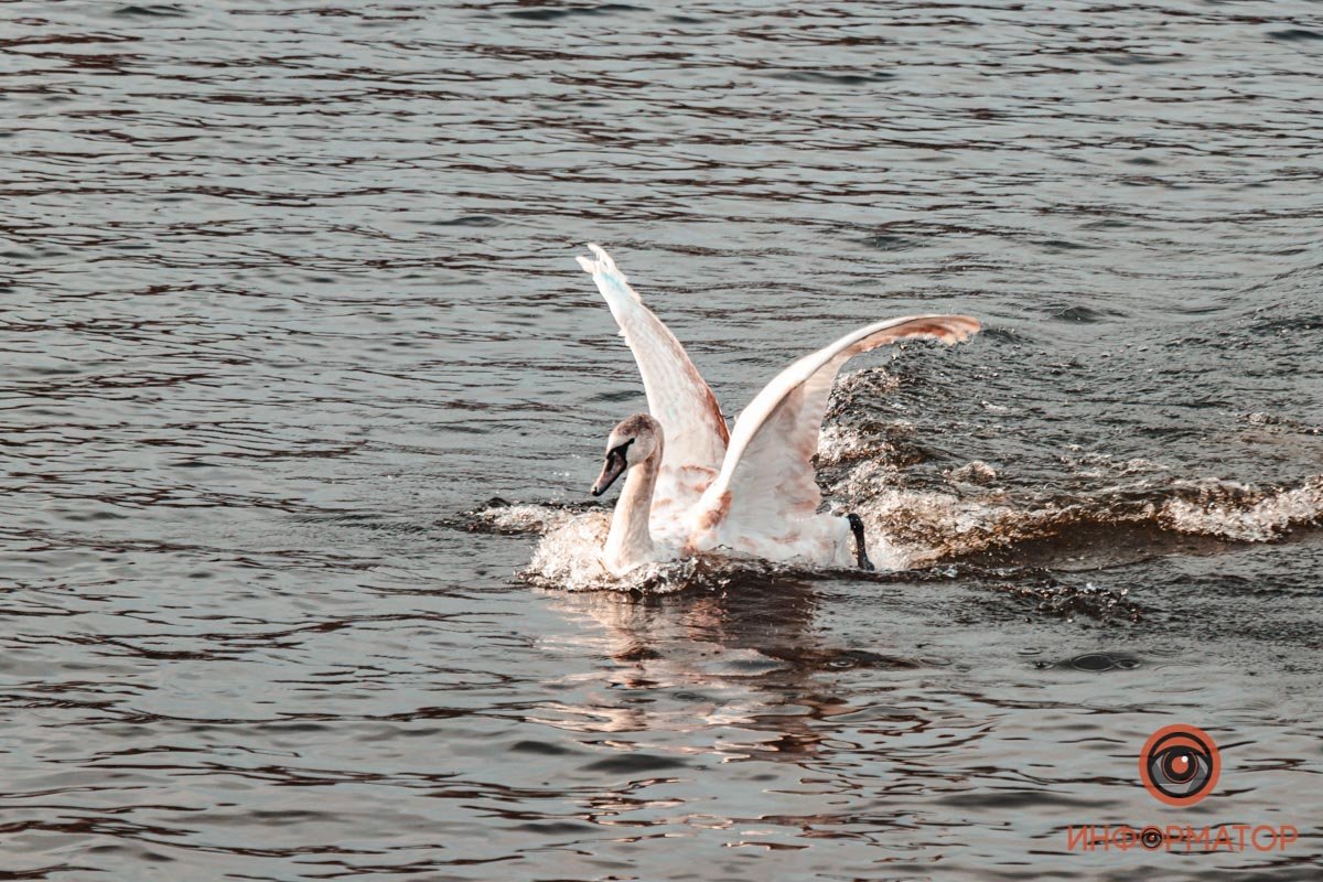 Поймали кадр Поймали кадр