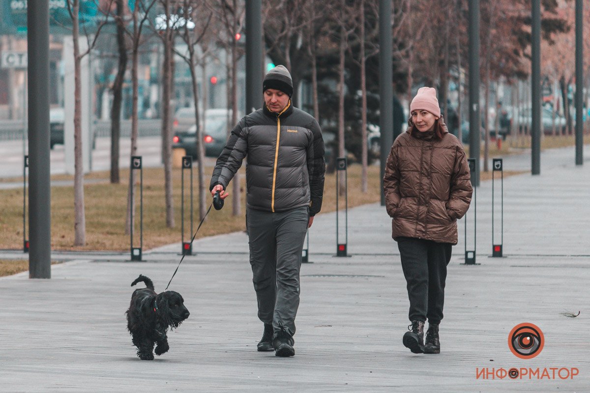 Собака может уничтожить ваши ботинки, но она никогда не разобьет вам сердце