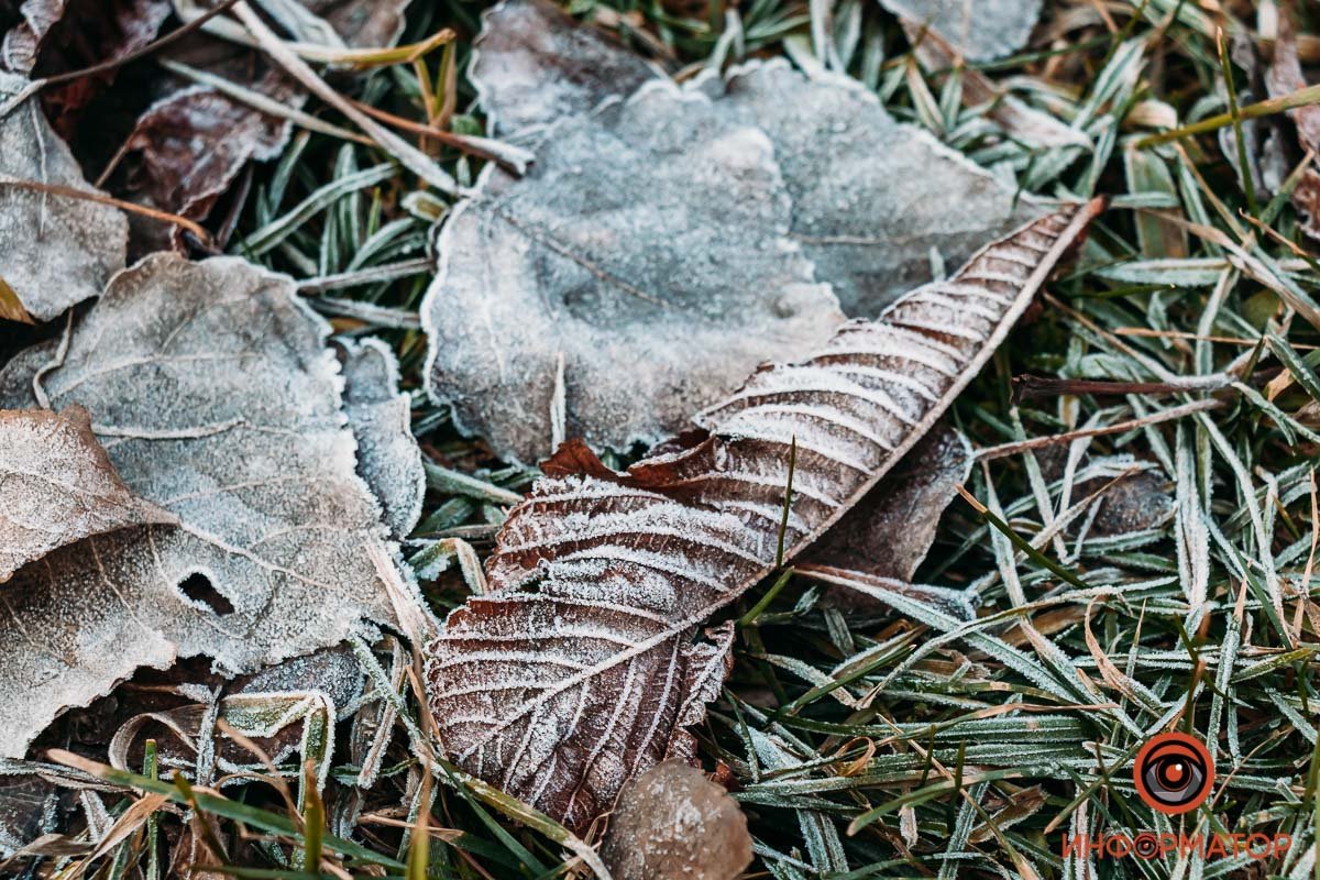 Зима против весны Зима против весны