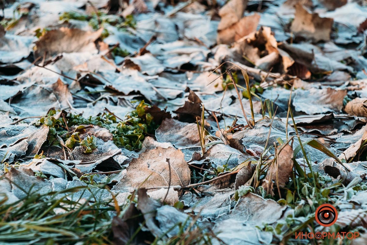 Странная погода Странная погода