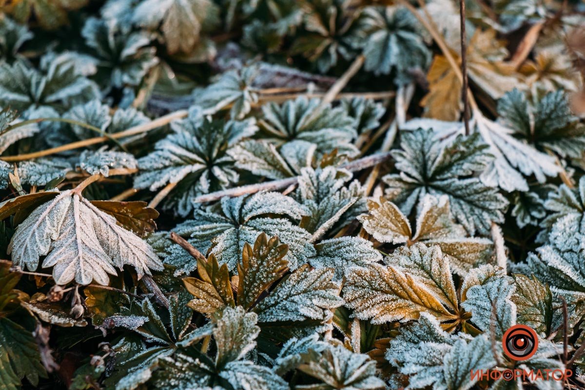 Красиво Красиво