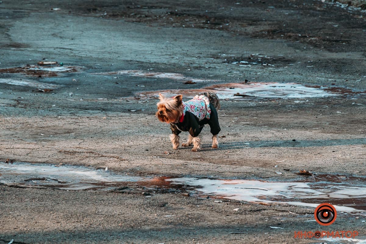 Тепленько Тепленько
