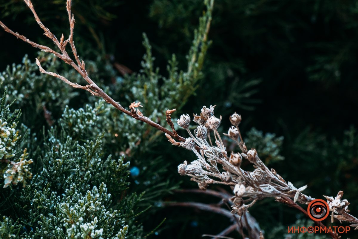 Природа необычайна Природа необычайна