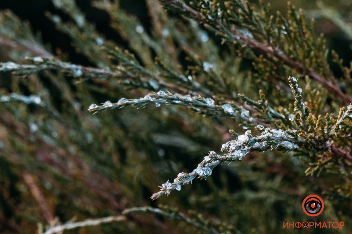 Детали Детали