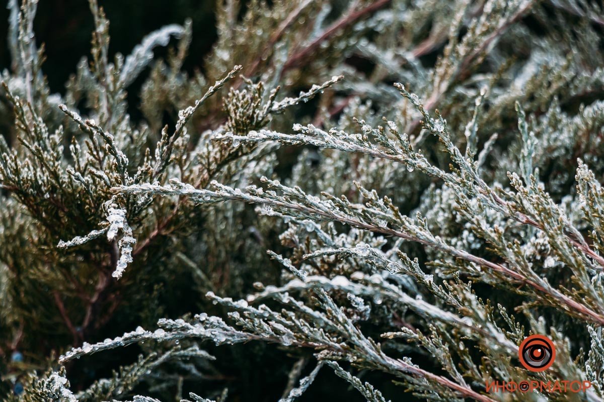 Удивляйтесь Удивляйтесь