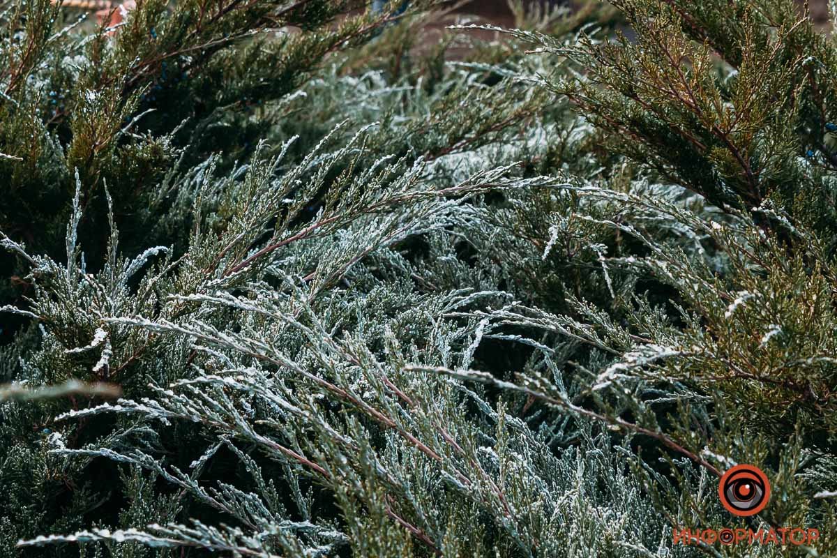 Айда гулять Айда гулять