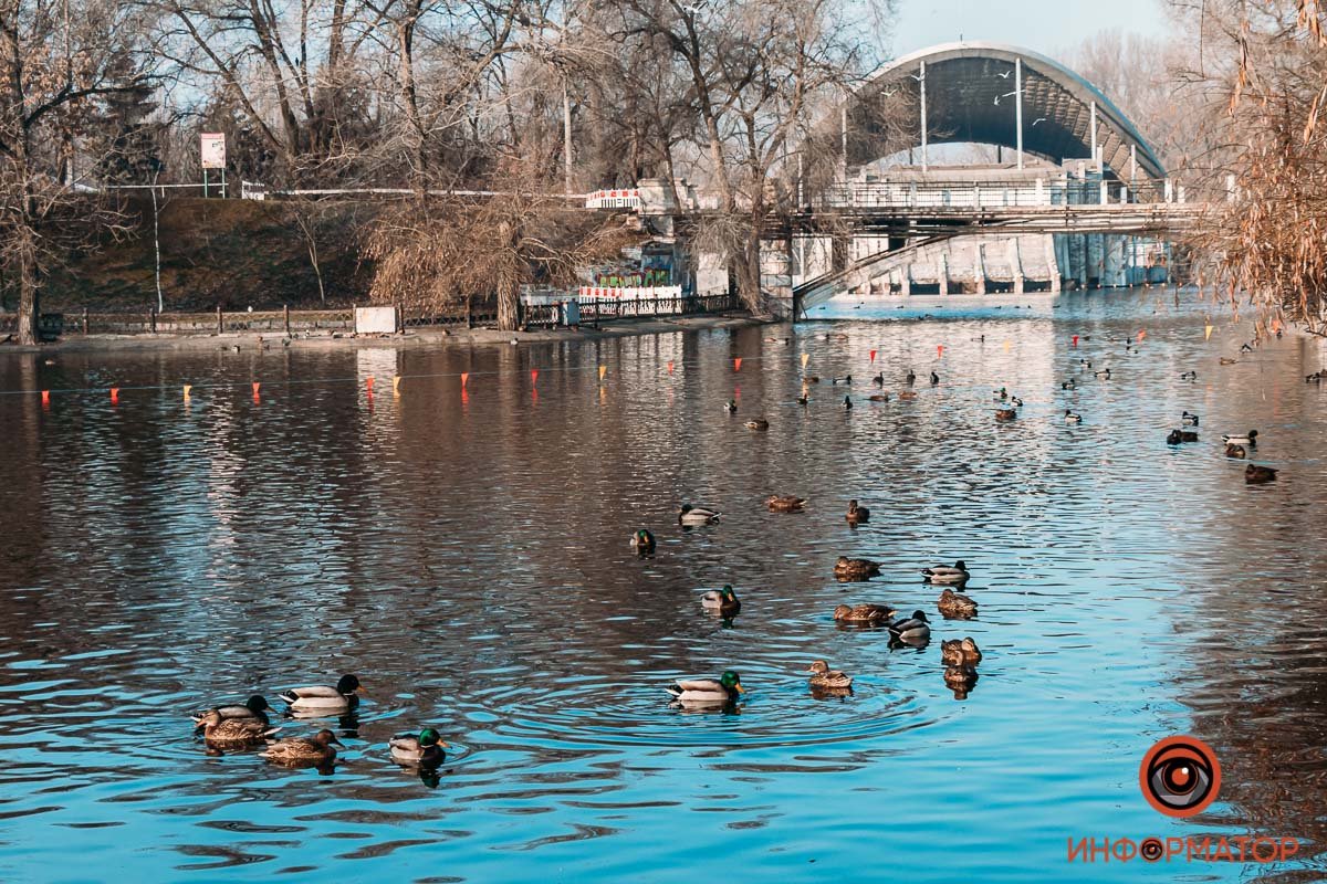 Не замерзли? Не замерзли?