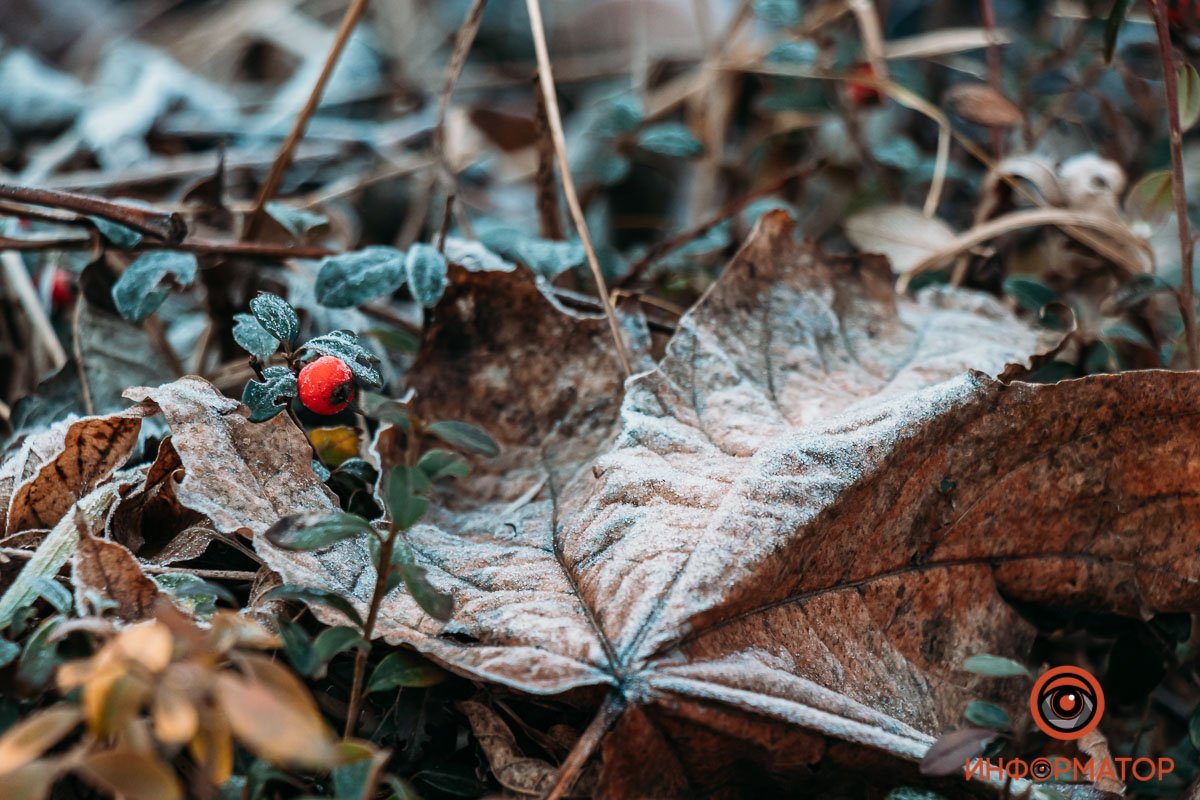 Зима, давай снег Зима, давай снег