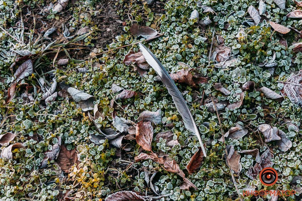 Днепр прекрасен Днепр прекрасен