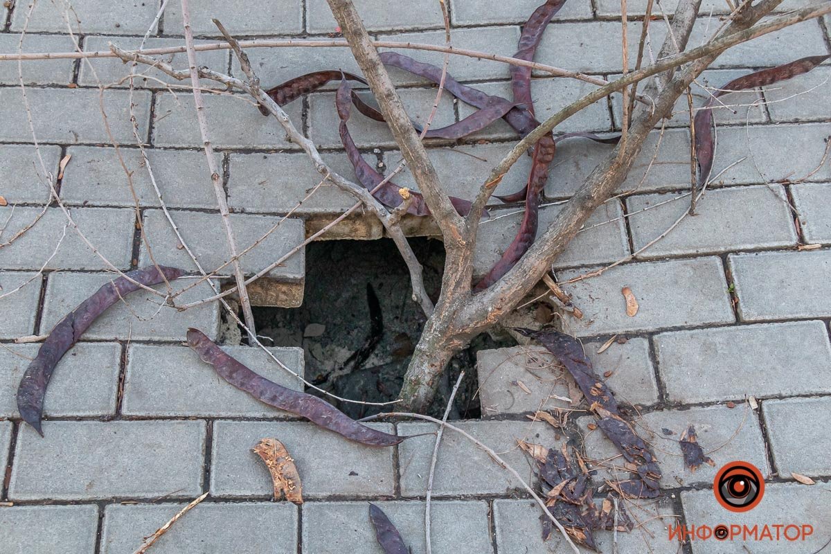 Яма полая внутри Яма полая внутри