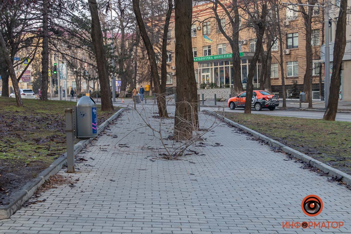 Внутри вставили ветку Внутри вставили ветку