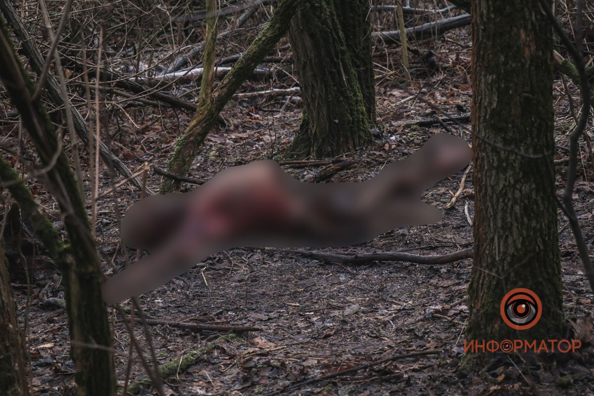 В Днепре возле хлебзавода №9 в балке нашли труп мужчины без внутренних органов и с обглоданными ногами 2