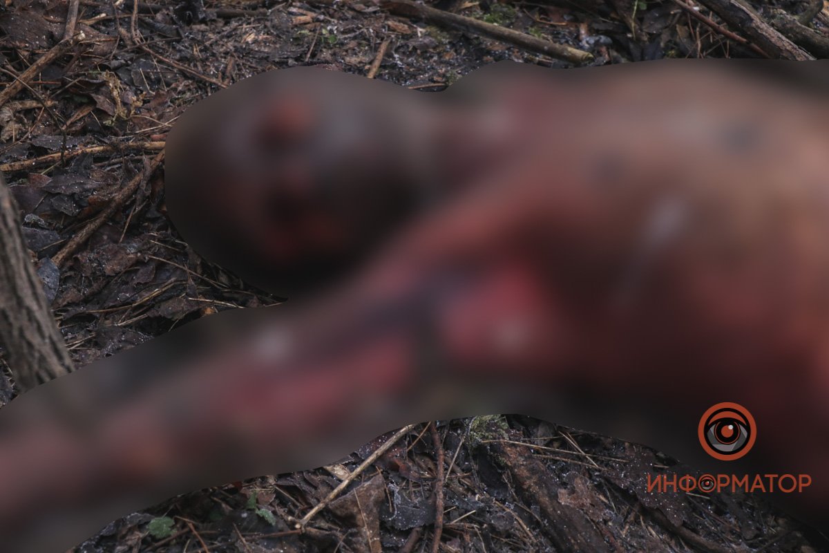 В Днепре возле хлебзавода №9 в балке нашли труп мужчины без внутренних органов и с обглоданными ногами 4