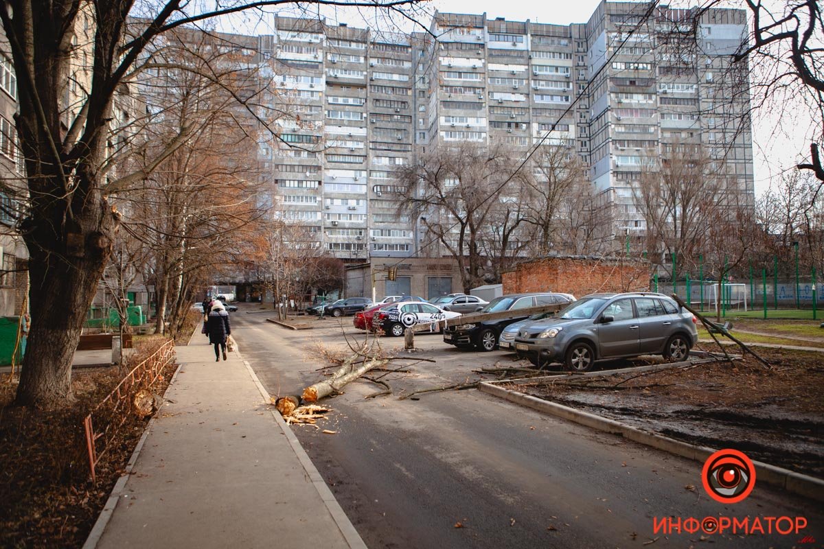 Ветка зацепила провода