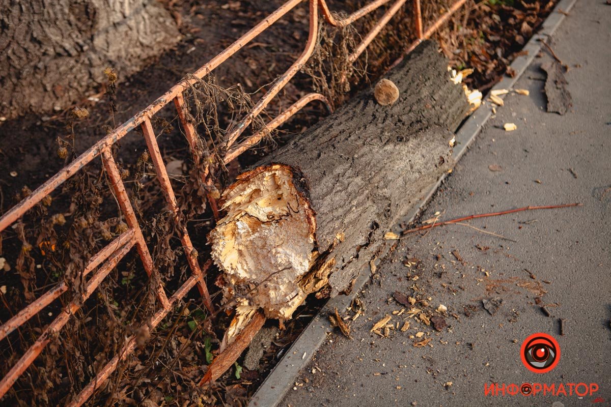 Инцидент на Запорожском шоссе