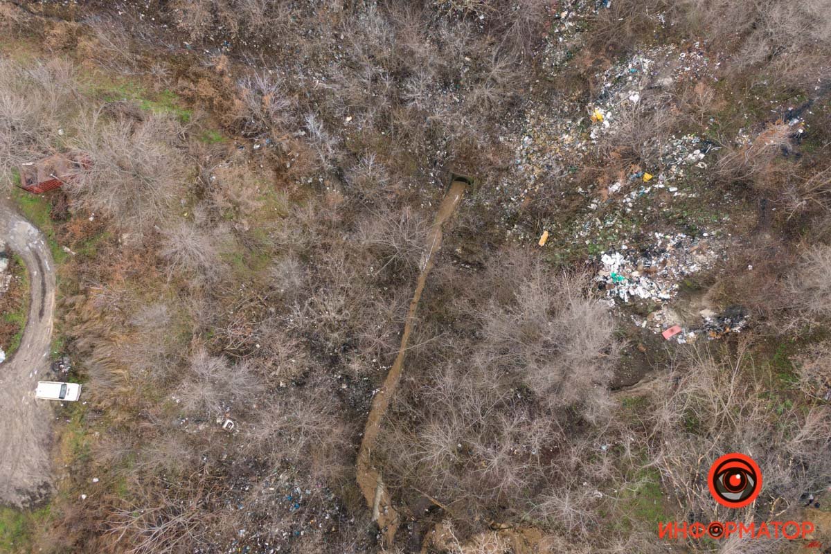 Фото: Сергей Скрыпник