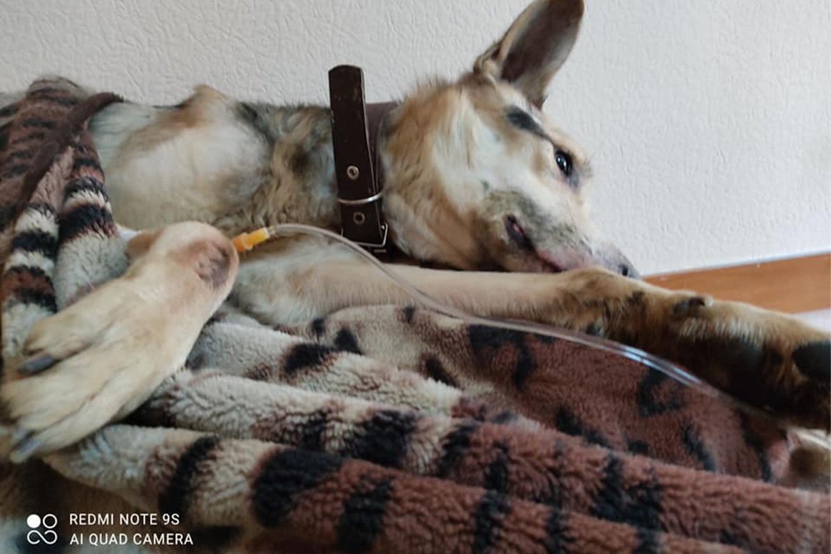 Рэм будет долго восстанавливаться