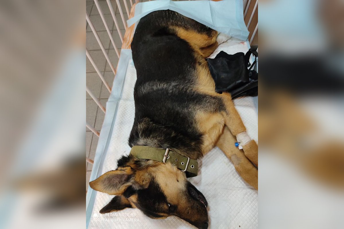 Жорику сделали операцию