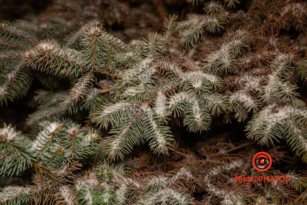 Будто тополиный пух в июле Будто тополиный пух в июле