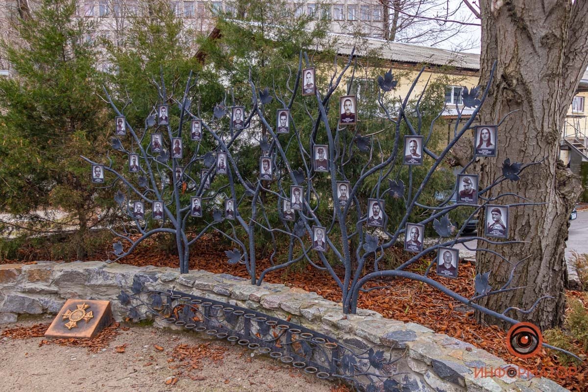 На ветвях лозы - фото погибших бойцов со всей Украины