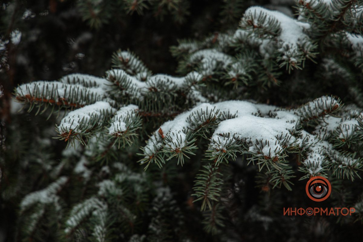 В Днепр пришла зима В Днепр пришла зима