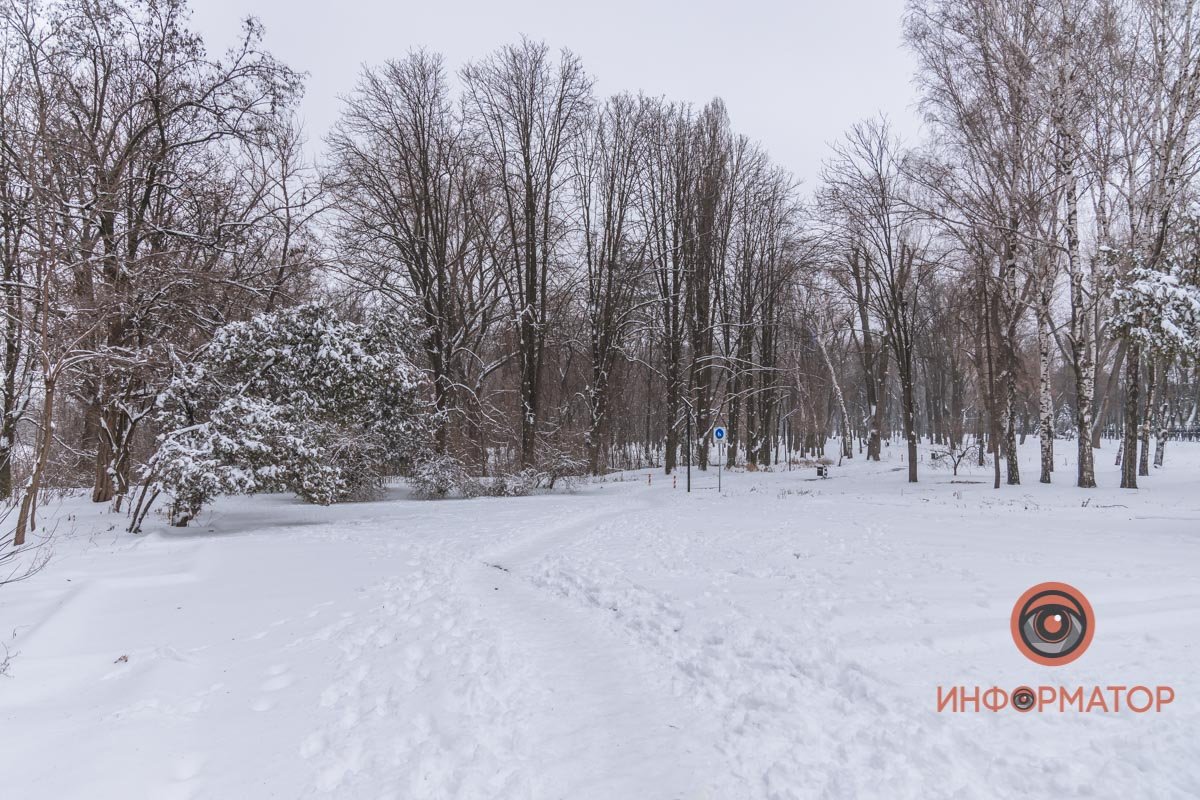 Парк Гагарина Парк Гагарина