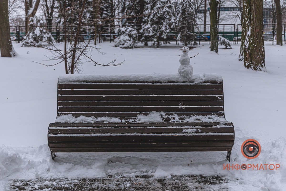 Разместился на спинке лавочки Разместился на спинке лавочки