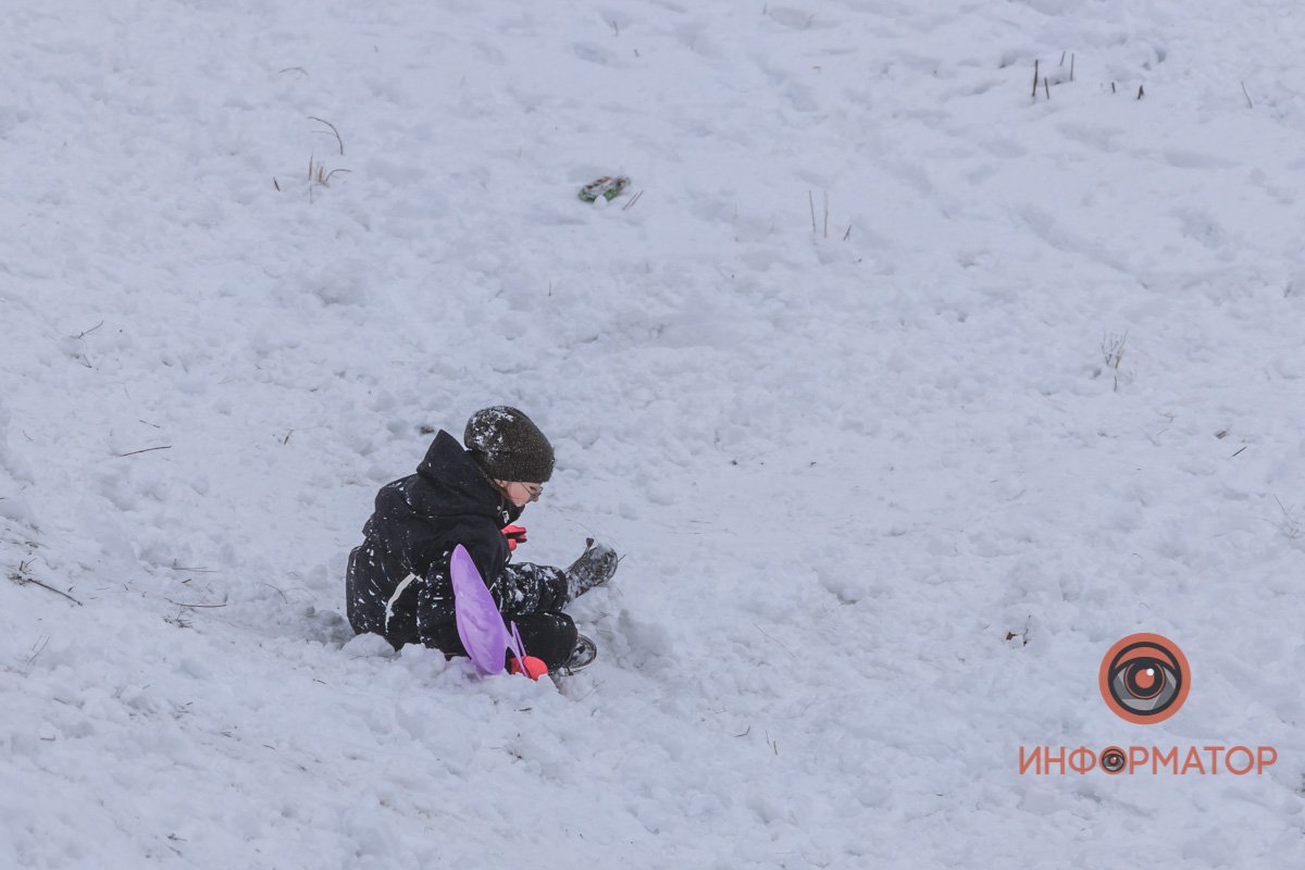 Развлекаются не только дети Развлекаются не только дети