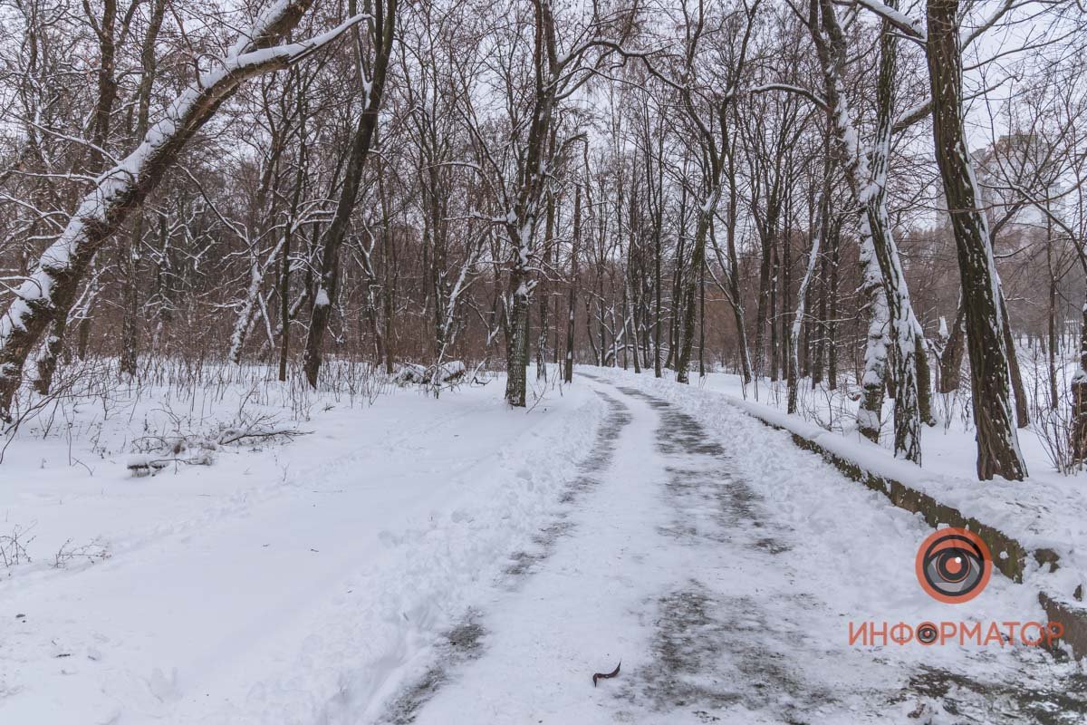 Как ни странно, белочек мы не нашли Как ни странно, белочек мы не нашли