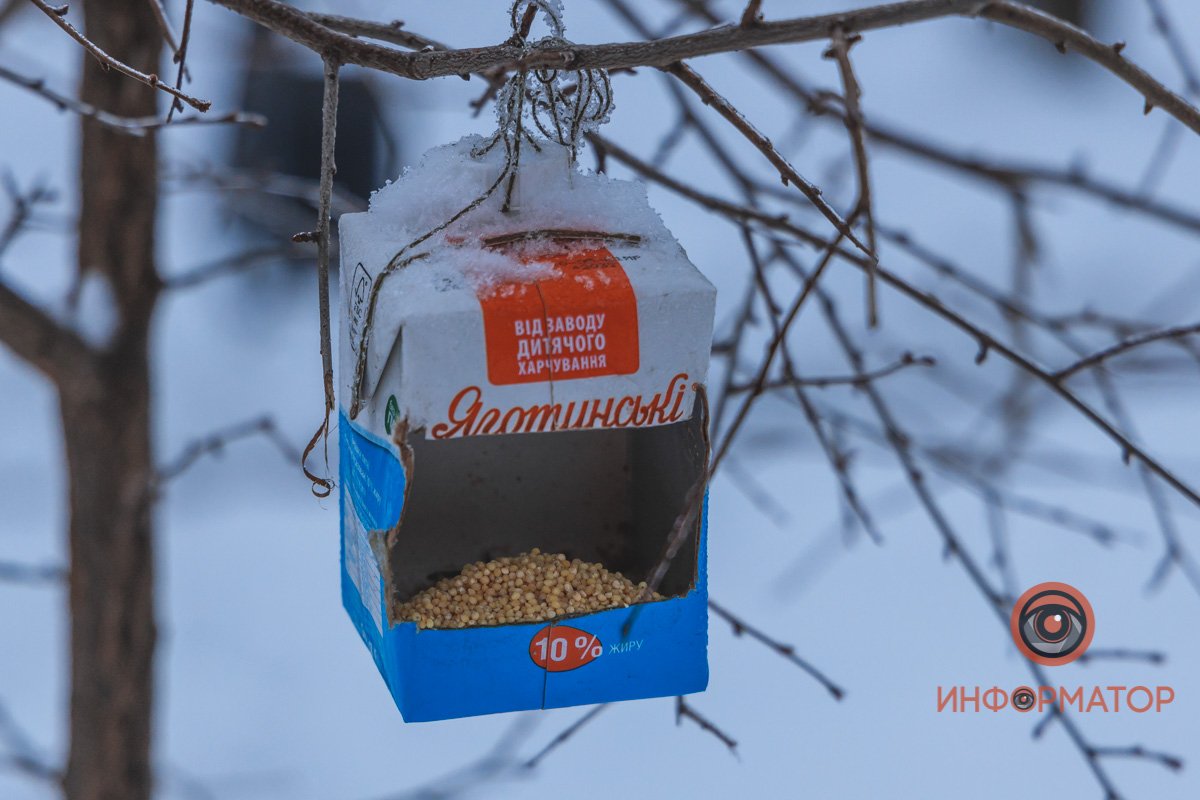 На забыли и наполнить кормушки по парку На забыли и наполнить кормушки по парку