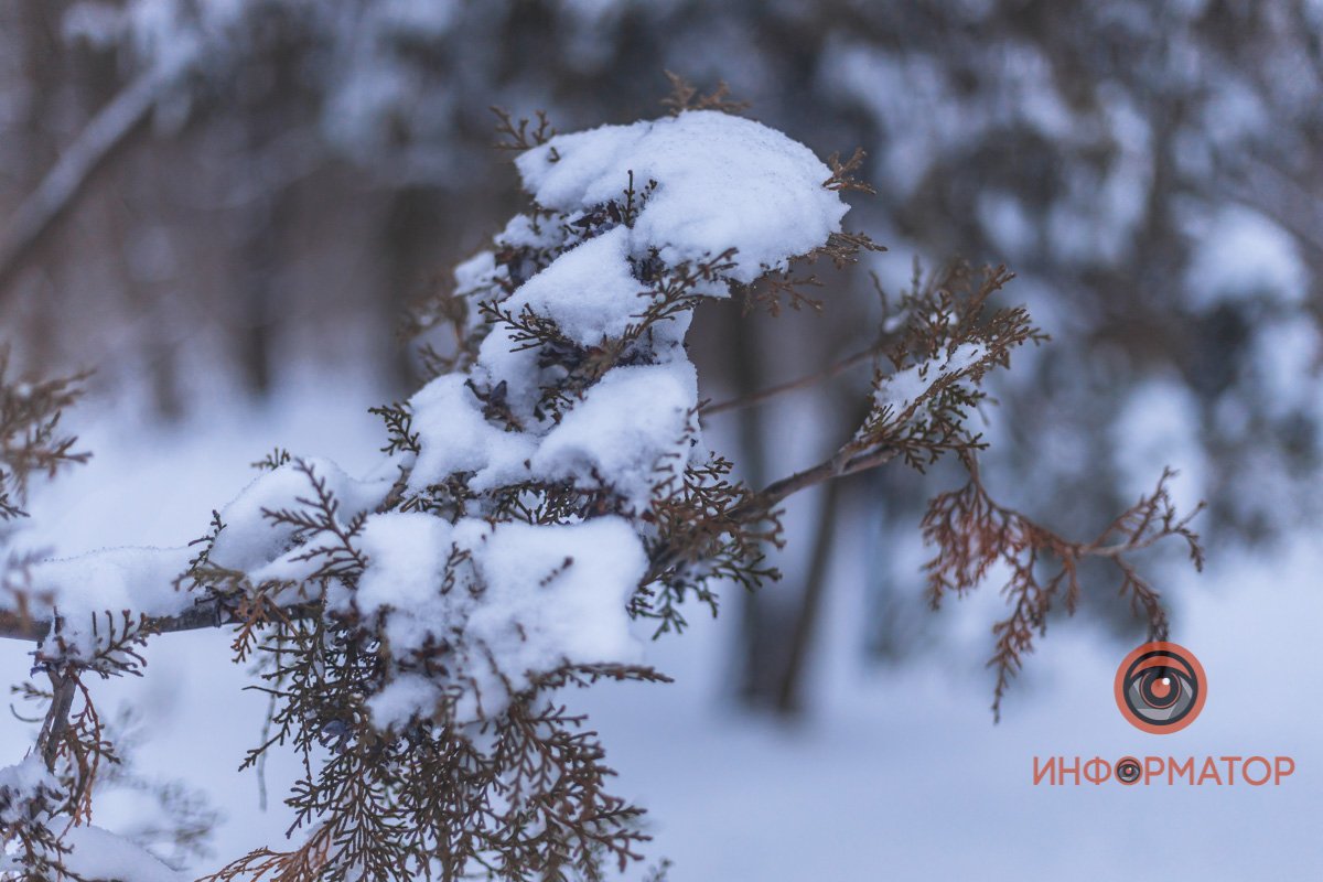 Радуемся погоде, пока не пришло похолодание! Радуемся погоде, пока не пришло похолодание!