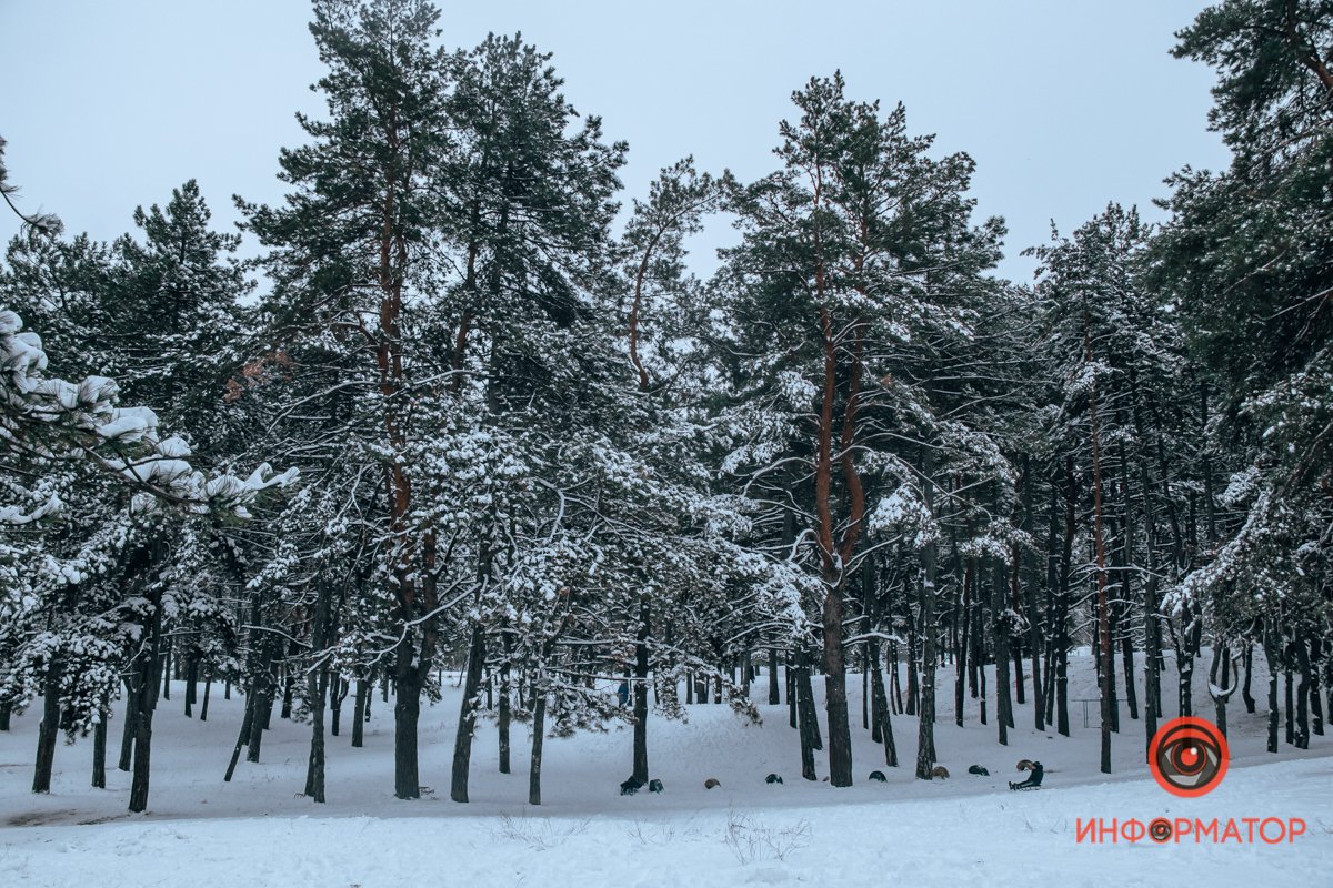 Спуск Спуск